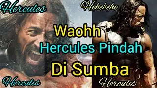 Hercules Ada Di Sumba