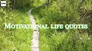 25 Motivational Quotes About Life...