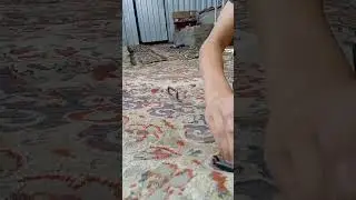 новый руль +линия