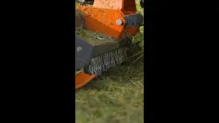 Michigan Land Transformation with Flail Mower