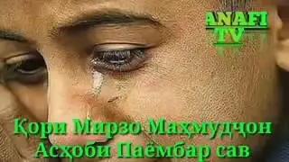 Бехтарин киса кори Мирзо Махмудчон