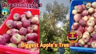 Last day Apple session 😍