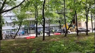 8 мая 2024 год