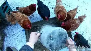 Chwila dnia codziennego...