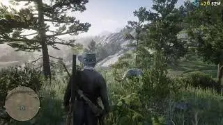 RDR2 (хочу охотника за головами))))