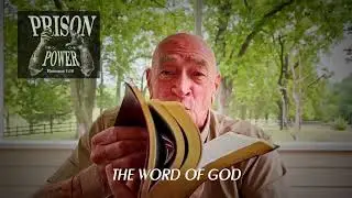 Transform Your Life  Read the Bible in 1 year 15 Minutes Daily