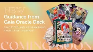 New Guidance from Gaia Oracle Card Deck By Shannon Kaiser Award Winning Graphic Artist (Coming Soon)