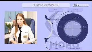 OphthalMONOgy. Роговица: строение, функции.