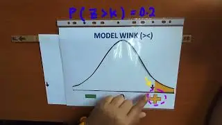 Model Wink