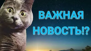 Важная информация на 100 подписчиков.