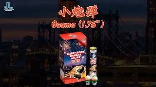 小炮弹 | Osama (1.75