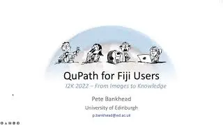 QuPath for Fiji Users (I2K 2022 workshop)