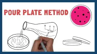 Isolation techniques | Pour plate method