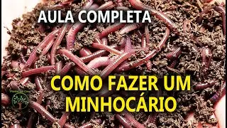 Minhocário, Humus como Fazer em um Mini Curso de Dicas importantes com Ricardo Minhoca