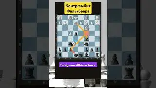 Telegram: Albinachess 