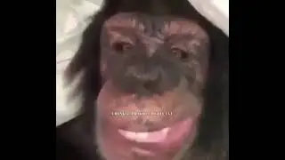 Сборник самых просматриваемых озвучек AHISKA_PRIKOL_OFFICIAL