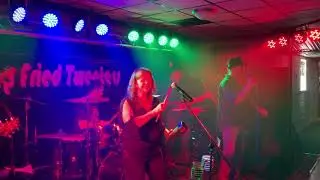 Playing Bass with Deep Fried Tweeters at Rendezvous Nov 2019