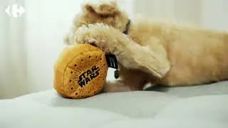 【台北映像】家樂福xstarwars星際大戰篇