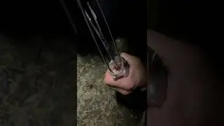 Демонтаж крючка у окуни