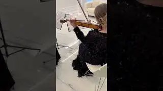 #hallelujah #stringquartet #струнный квартет #музыканты #скрипачи #скрипка #аллилуя #живаямузыка