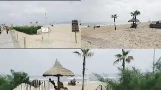 Golden Beach // Puri Vlog #odisha #purivlogs #bestplace #weekend #visittopuri