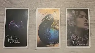 Pełnia w Raku 2025 - wybierz karte  #tarot