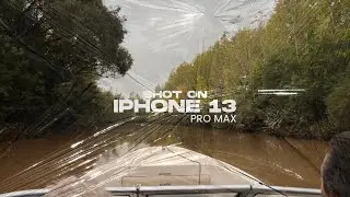 DELTA TIGRE - Shot on Iphone 13 PRO MAX.