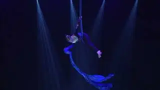 Catwalk,  Немцова Евгения, г.  Красноярск, воздушные полотна