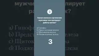 25 марта 2024 г.