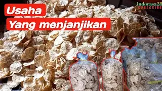 Modal kecil Untung perbulan 60 JT .!! ide usaha menjanjikan