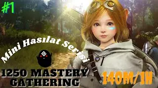 Bdo Odun Toplama | Mini Hasılat Videosu | 