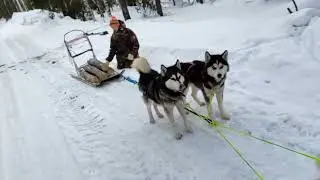 ЛЕД ЛОМАЕТСЯ!!! ПО ТОНКОМУ льду идут две упряжки!!! Новые нарты.