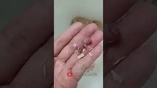 why? babies hamster dies after being bitten by red ants 😭😭