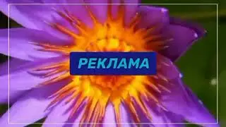 рекламные заставки BoomBox (Украина) 2024-н.в
