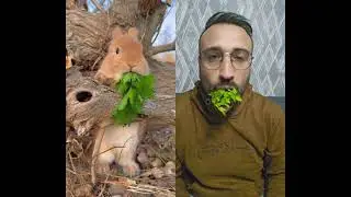 #tavşanavı @MrBeast #eğlence
