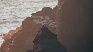 OREGON COAST