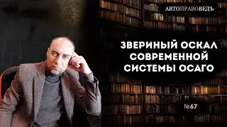 ЗВЕРИНЫЙ ОСКАЛ современной системы ОСАГО