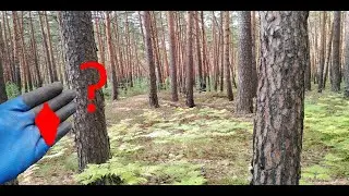 неожиданная  находка