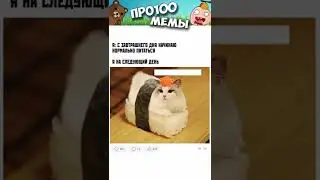 МЕМЫ ЕСТЬ МЕМЫ 