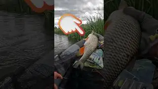Поймал голавля на рыбалке на Малас #fishing #рыбалка