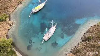 Dimitri ve Bencik Koyu