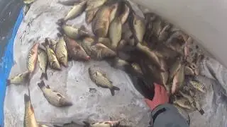 Проект 