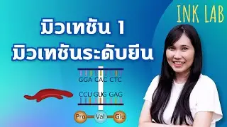 🧬โครโมโซมและสารพันธุกรรม 4 : มิวเทชันระดับยีน [Biology#33]