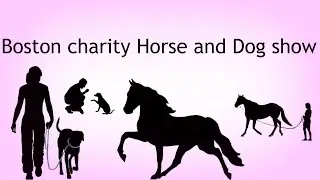 Horse and Dog show pictures