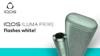 What does the white flashing light on my IQOS ILUMA PRIME mean? | IQOS UK