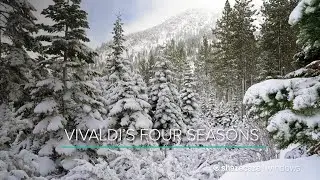 Vivaldi’s Four Seasons With Breathtaking Views Trailer