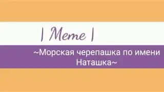 |°Meme°||Морская черепашка по имени Наташка|| :)