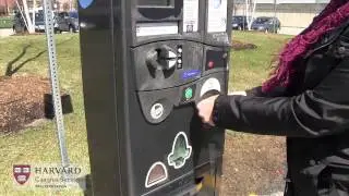 Pay & Display - Multi Space Parking Meters