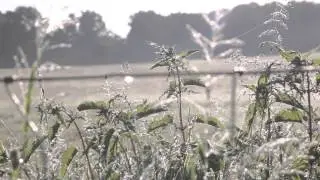 Le bon air du Limousin