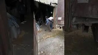 Русские колхозы . 